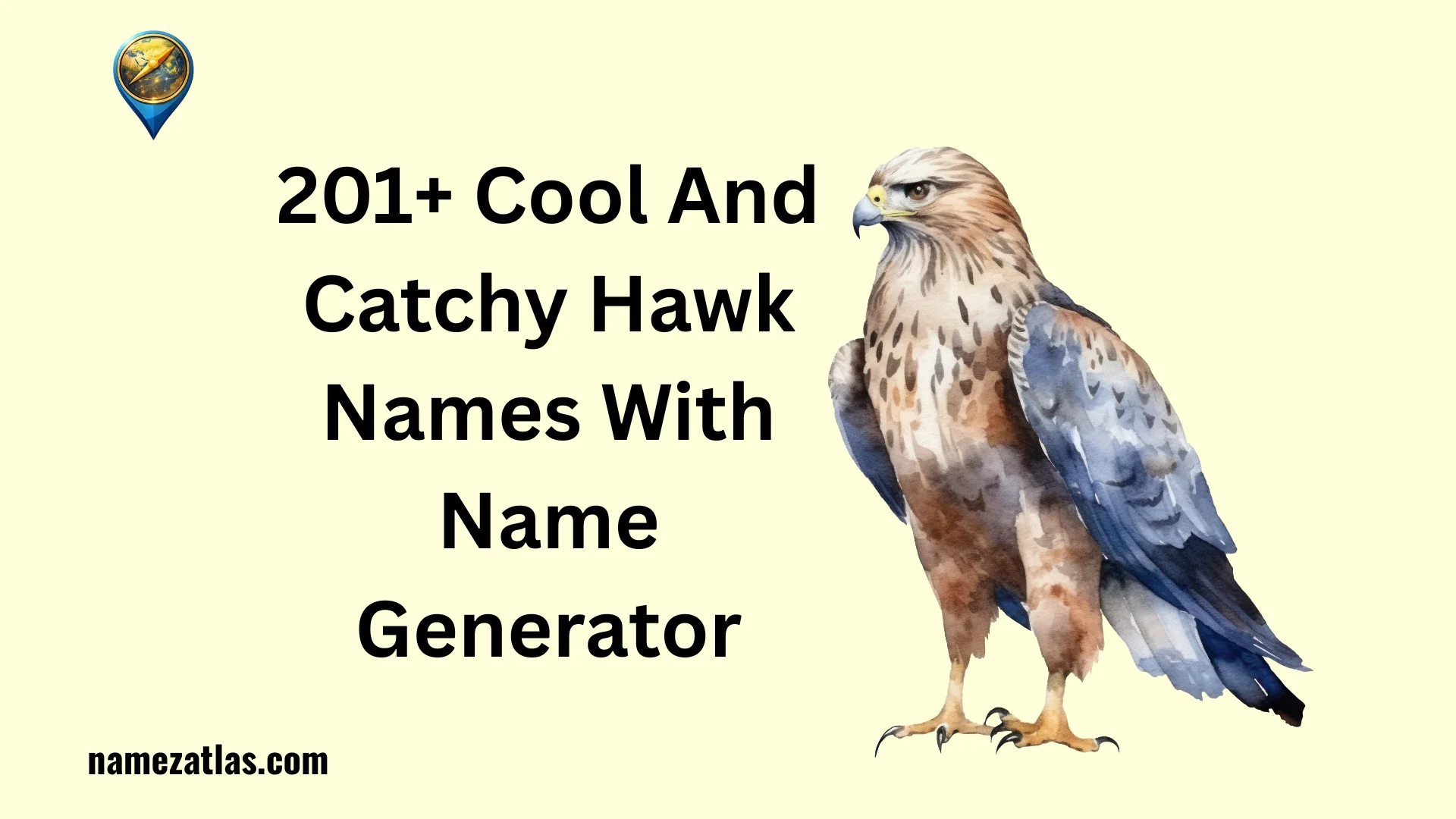 Cool And Catchy Hawk Names With Name Generator