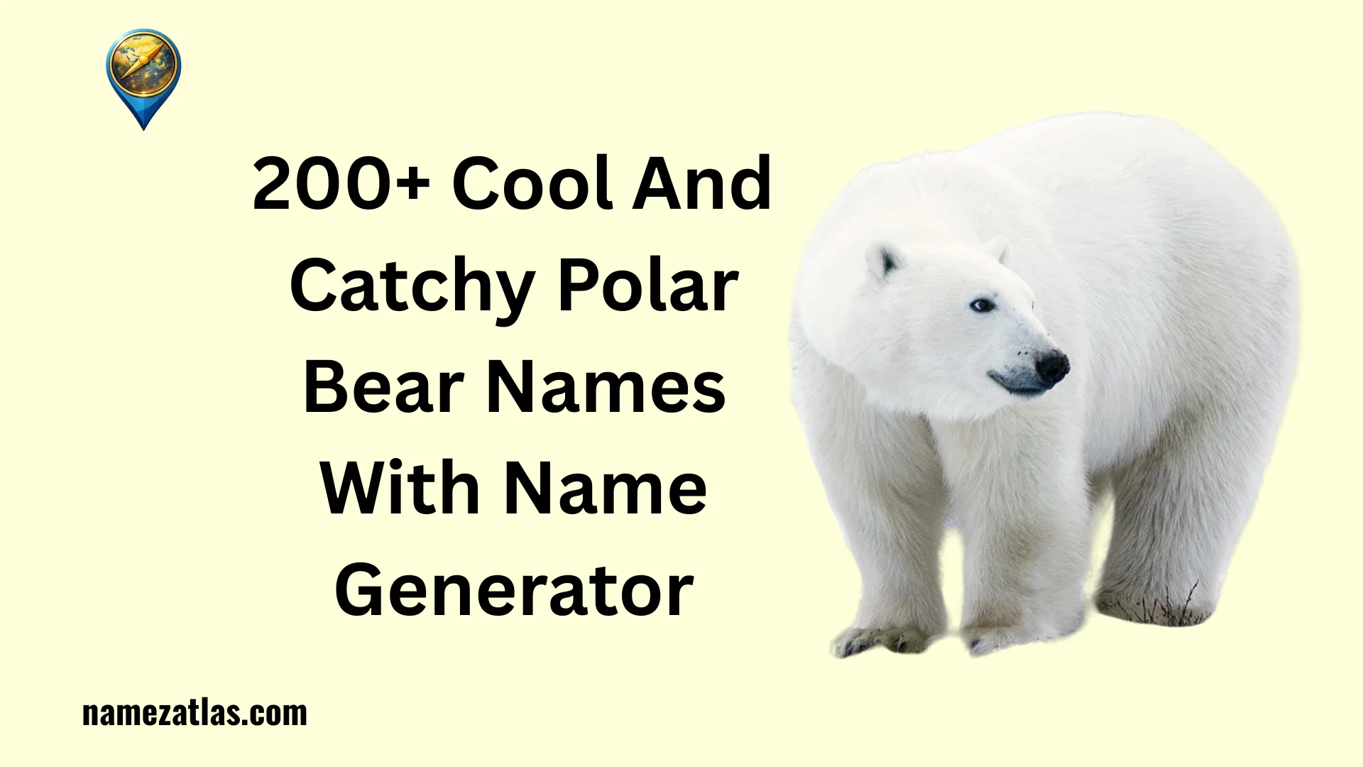 Cool And Catchy Polar Bear Names With Name Generator