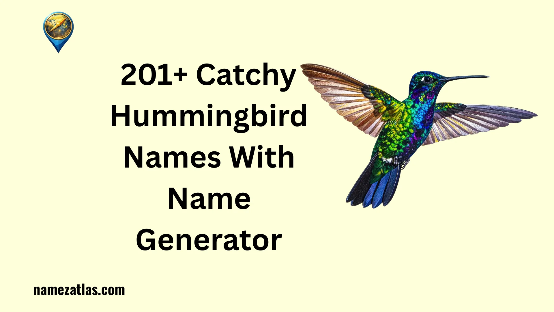 Catchy Hummingbird Names With Name Generator