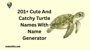 Cute And Catchy Turtle Names With Name Generator