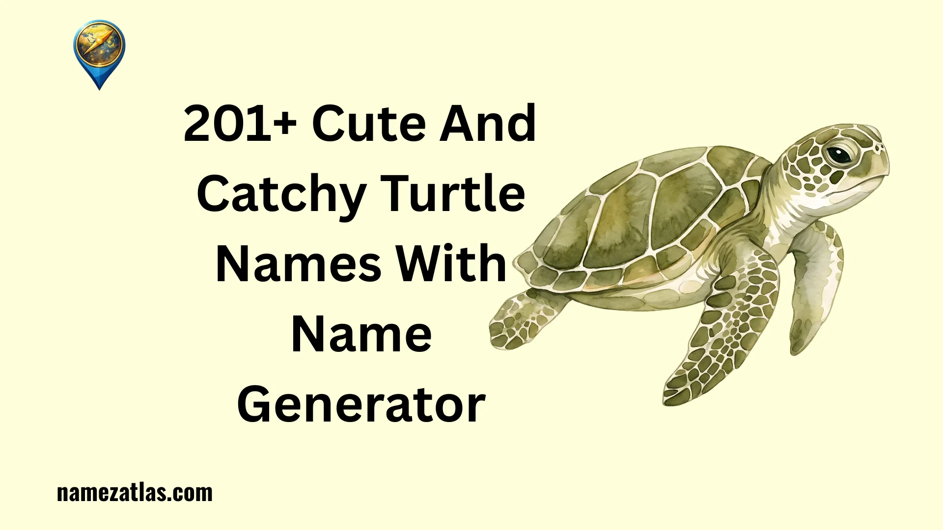 Cute And Catchy Turtle Names With Name Generator