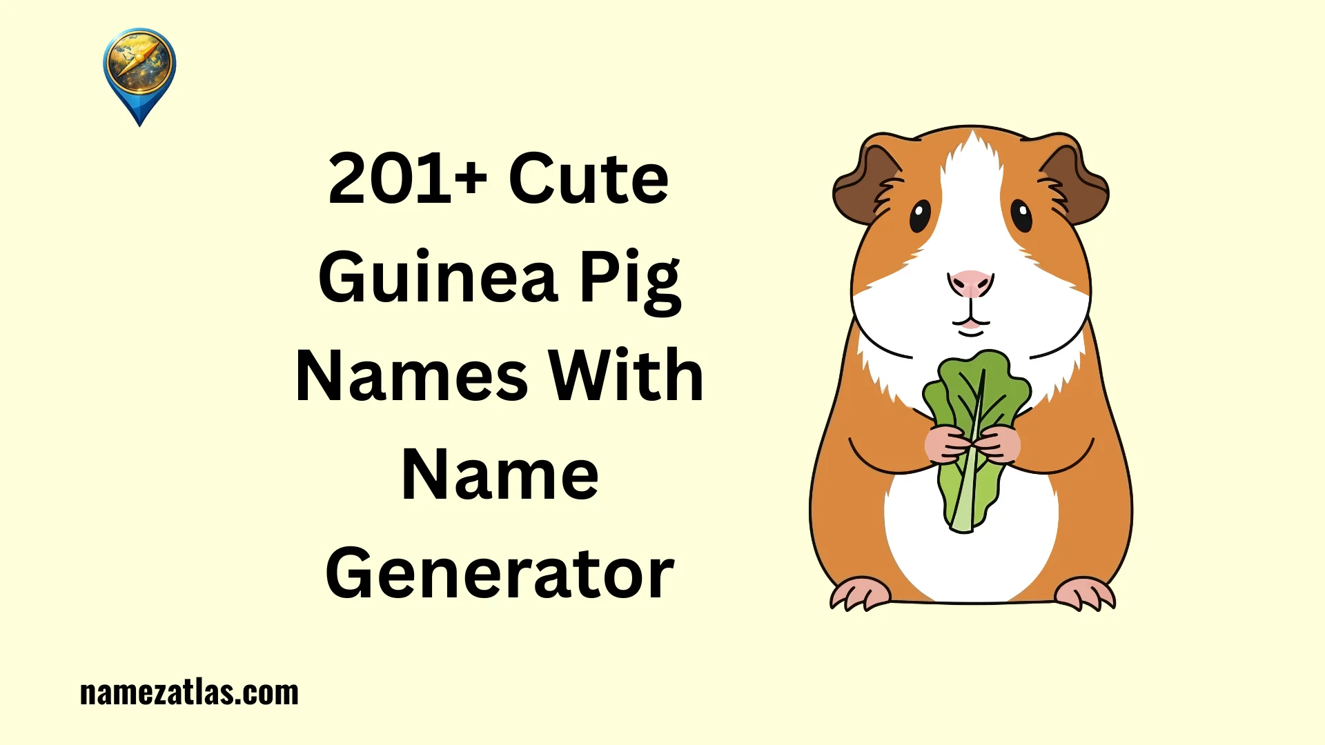 Cute Guinea Pig Names With Name Generator
