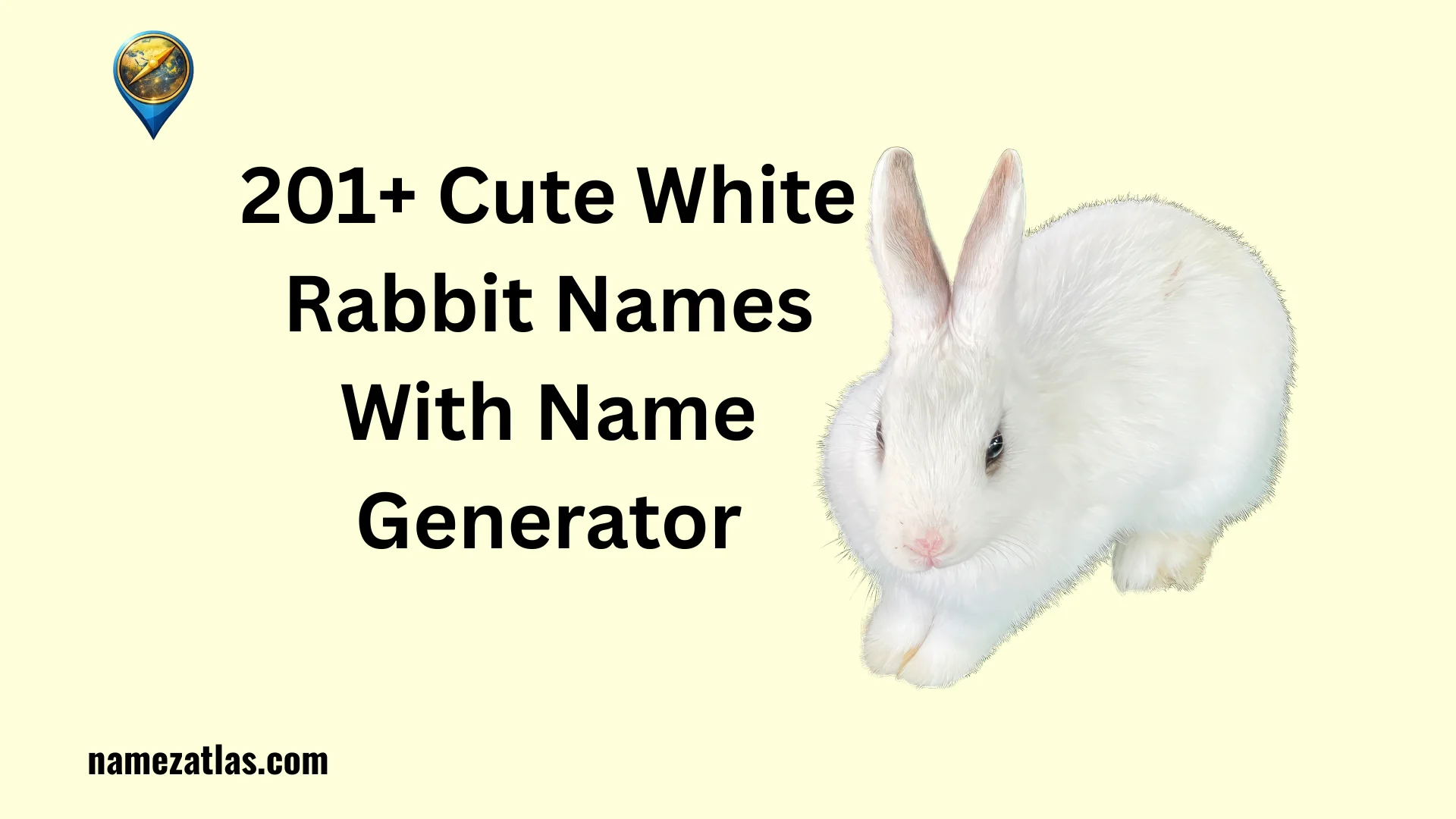 Cute White Rabbit Names With Name Generator