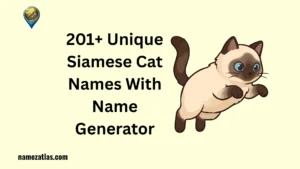 Unique Siamese Cat Names With Name Generator