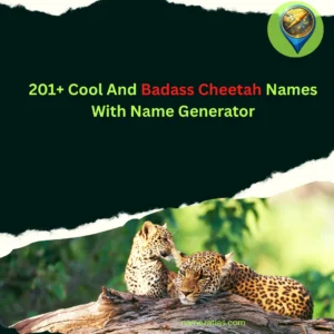 Cool And Badass Cheetah Names With Name Generator
