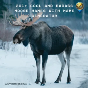 Cool And Badass Moose Names With Name Generator