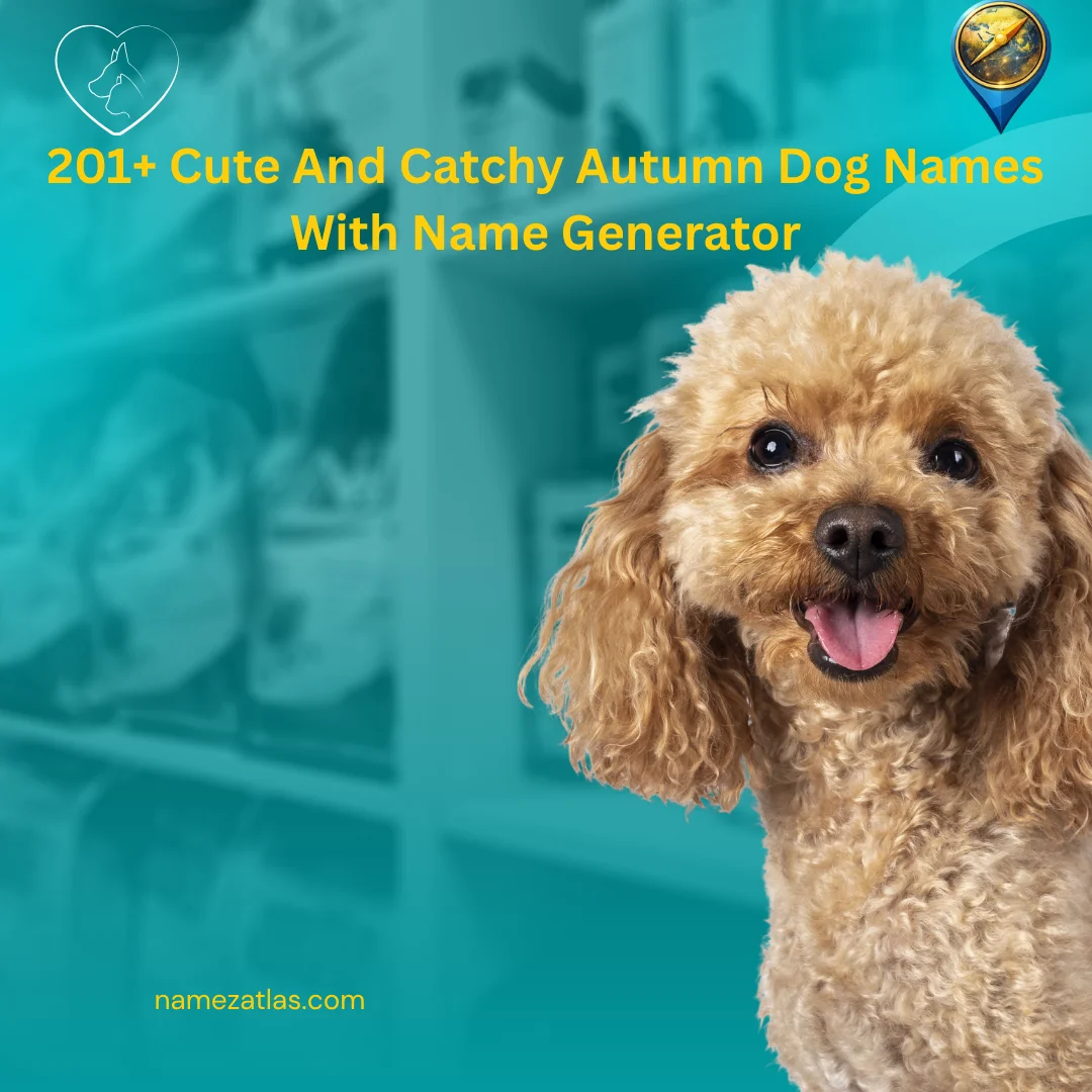 Cute And Catchy Autumn Dog Names With Name Generator