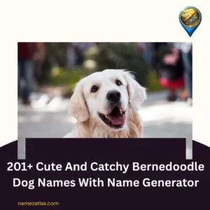 Cute And Catchy Bernedoodle Dog Names With Name Generator
