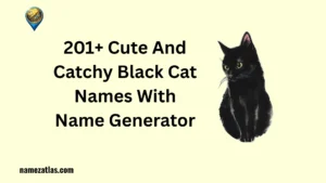 Cute And Catchy Black Cat Names With Name Generator