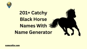 Catchy Black Horse Names With Name Generator