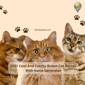 Cool And Catchy Brown Cat Names With Name Generator