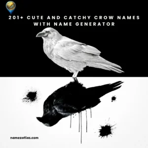 Cute And Catchy Crow Names With Name Generator