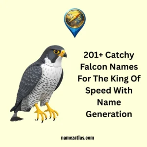 Catchy Falcon Names For The King Of Speed With Name Generation