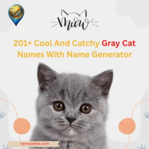 Cool And Catchy Gray Cat Names With Name Generator