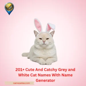 Cute And Catchy Grey and White Cat Names With Name Generator