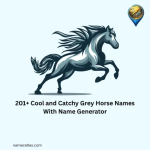 Cool and Catchy Grey Horse Names With Name Generator