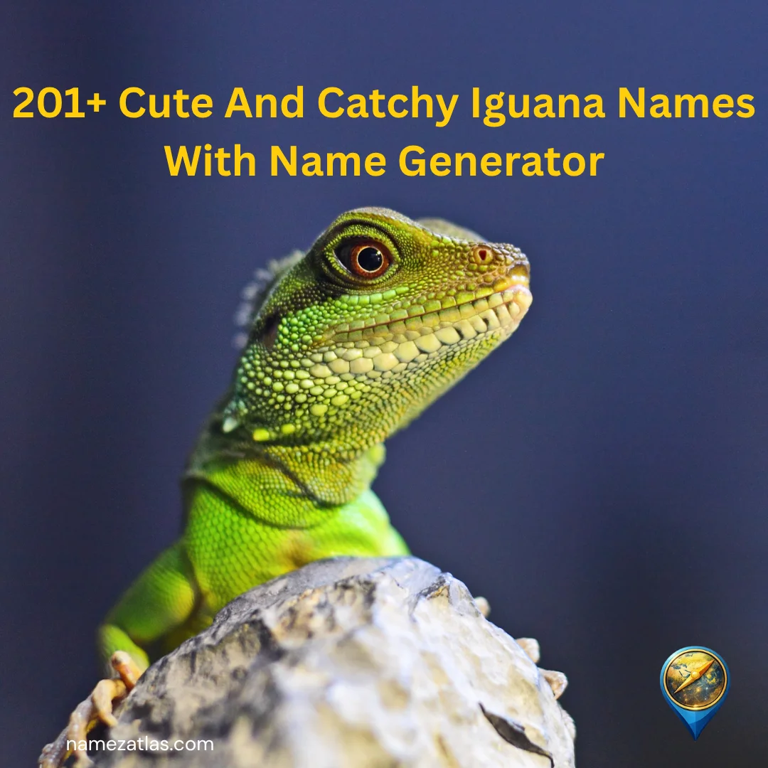 Cute And Catchy Iguana Names With Name Generator