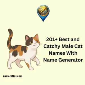 Best and Catchy Male Cat Names With Name Generator