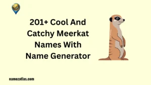 Cool And Catchy Meerkat Names With Name Generator