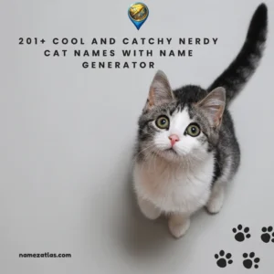 Cool And Catchy Nerdy Cat Names With Name Generator