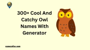 Cool And Catchy Owl Names With Generator