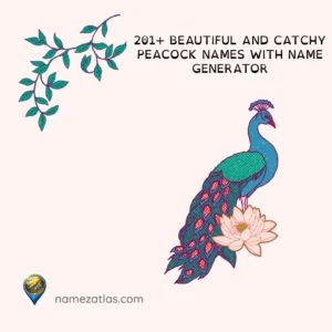 Beautiful and Catchy Peacock Names With Name Generator