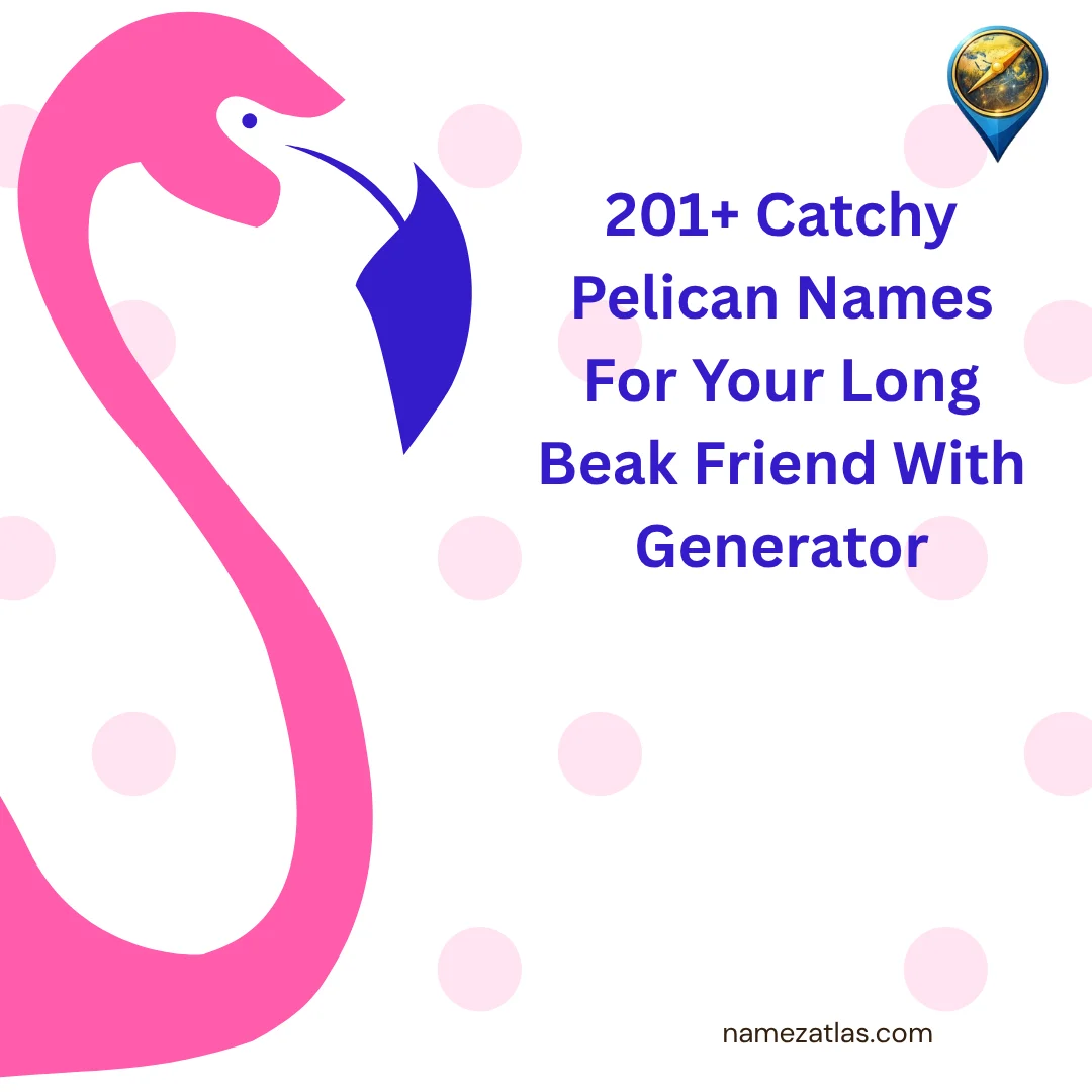 Catchy Pelican Names For Your Long Beak Friend With Generator
