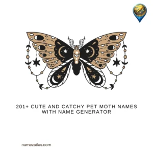 Cute And Catchy Pet Moth Names With Name Generator