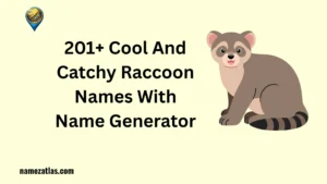 Cool And Catchy Raccoon Names With Name Generator