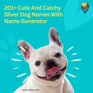 Cute And Catchy Silver Dog Names With Name Generator
