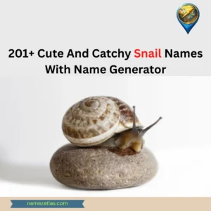 Cute And Catchy Snail Names With Name Generator
