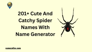 Cute And Catchy Spider Names With Name Generator