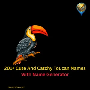 Cute And Catchy Toucan Names With Name Generator