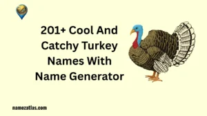 Cool And Catchy Turkey Names With Name Generator