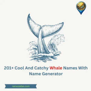 Cool And Catchy Whale Names With Name Generator