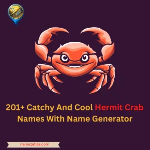 Catchy And Cool Hermit Crab Names With Name Generator