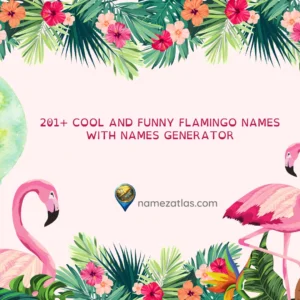 Cool And Funny Flamingo Names With Names Generator