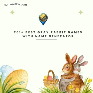 Best Gray Rabbit Names With Name Generator