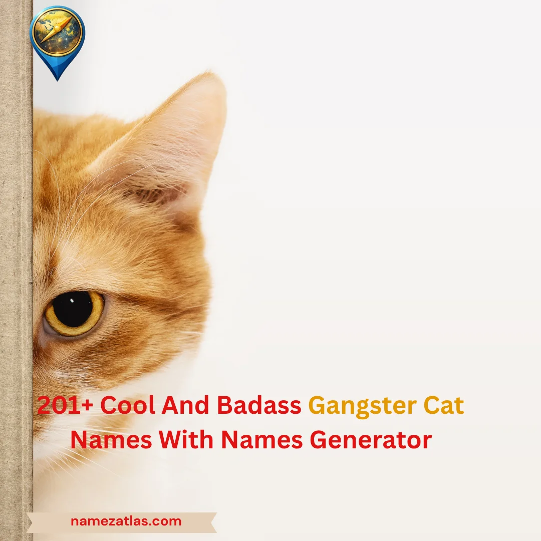 Cool And Badass Gangster Cat Names With Names Generator