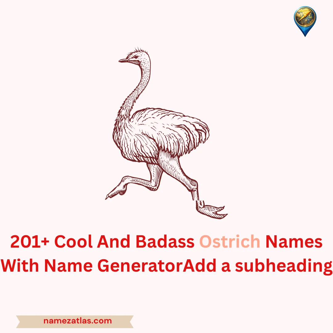 Cool And Badass Ostrich Names With Name Generator