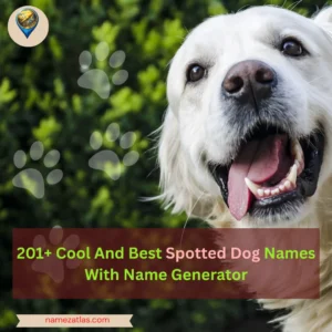 Cool And Best Spotted Dog Names With Name Generator