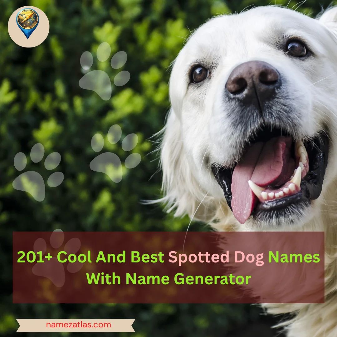 Cool And Best Spotted Dog Names With Name Generator