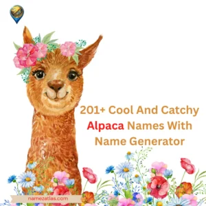 Cool And Catchy Alpaca Names With Name Generator