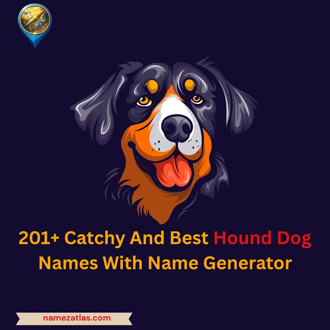Catchy And Best Hound Dog Names With Name Generator