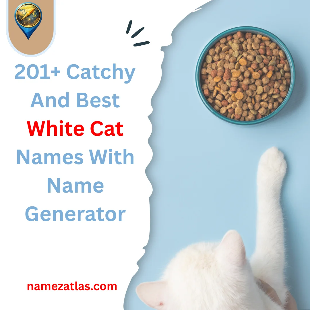 Catchy And Best White Cat Names With Name Generator