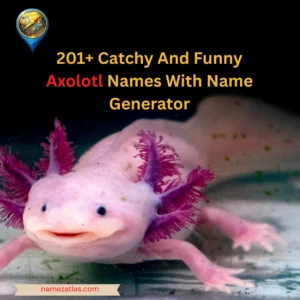 Catchy And Funny Axolotl Names With Name Generator