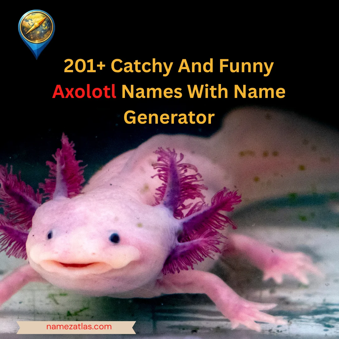 Catchy And Funny Axolotl Names With Name Generator