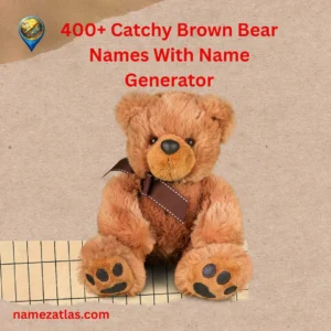 Catchy Brown Bear Names With Name Generator