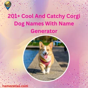 Cool And Catchy Corgi Dog Names With Name Generator
