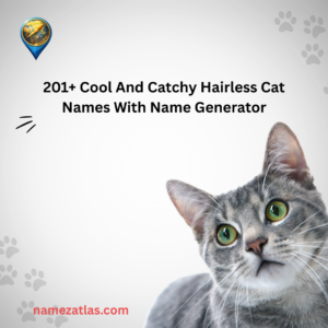 Cool And Catchy Hairless Cat Names With Name Generator